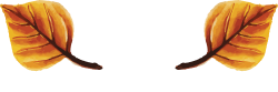 Celebrity Interviews